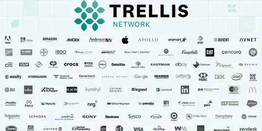 A Scaffold for Sustainability