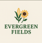 Evergreen Fields