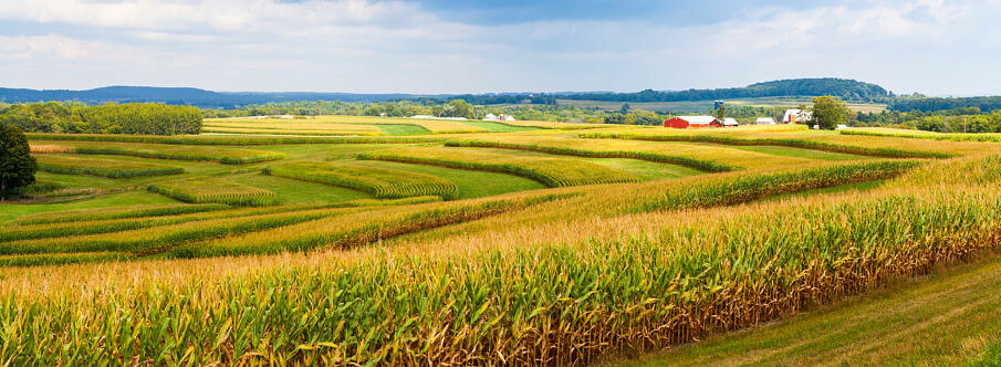 Flourishing Through Regeneration: Ingredion’s Global Journey Toward Sustainable Sourcing