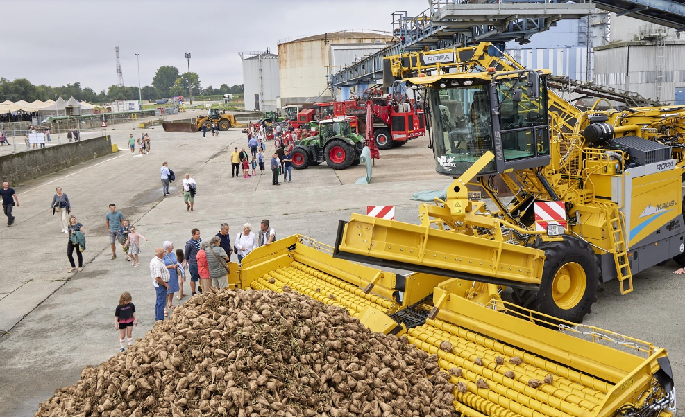 Sustainable Sugar Rush