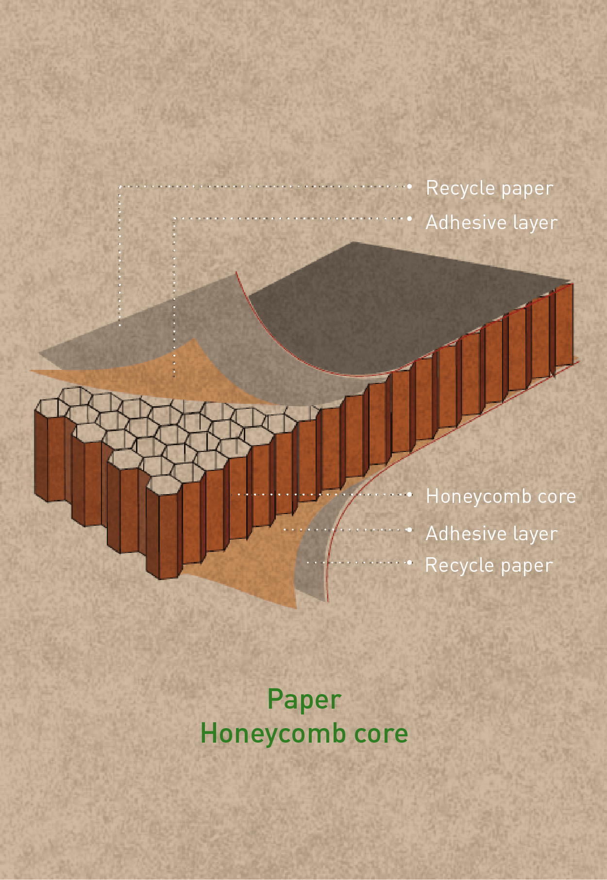 Building Affordable Homes with 100% Ecofriendly Materials - Paper!!