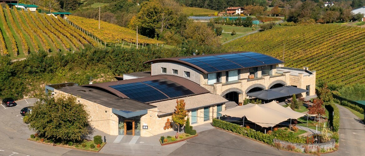 A Futuristic and Sustainable Energy