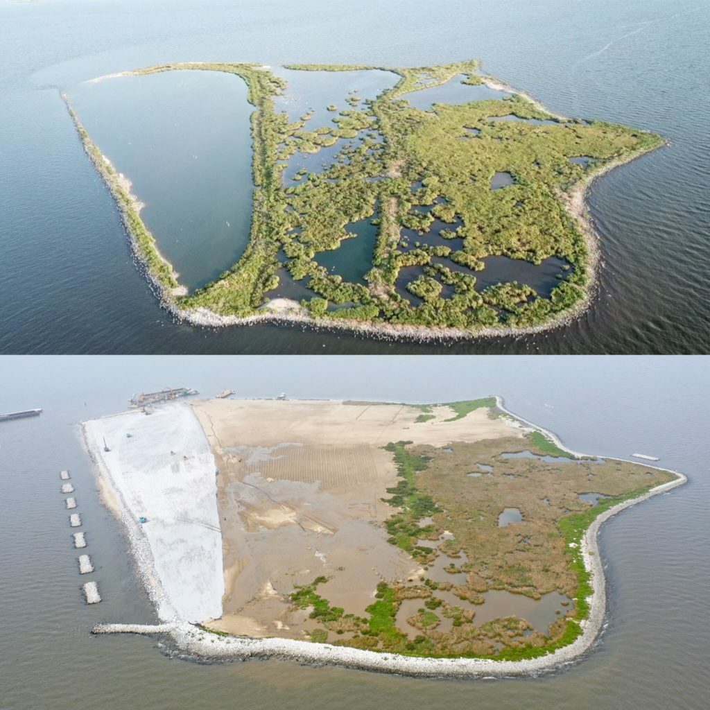 The restoration of Queen Bess Island