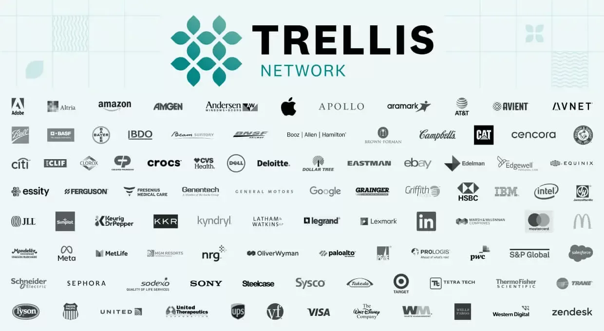 A Scaffold for Sustainability