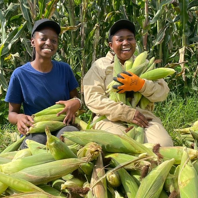 Seeds of Opportunity, Roots of Change